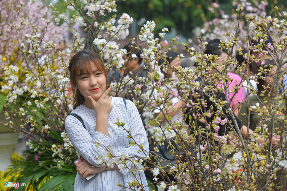 Lễ hội hoa anh đào bên hồ Gươm đông nghẹt du khách